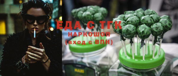 хмурый Бородино