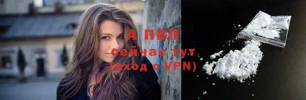 хмурый Бородино