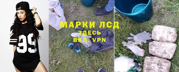 PSILOCYBIN Бугульма