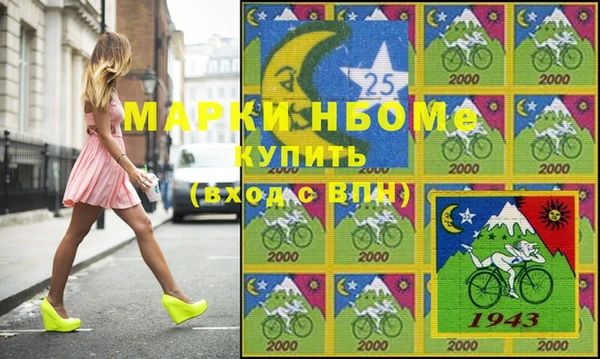 хмурый Бородино