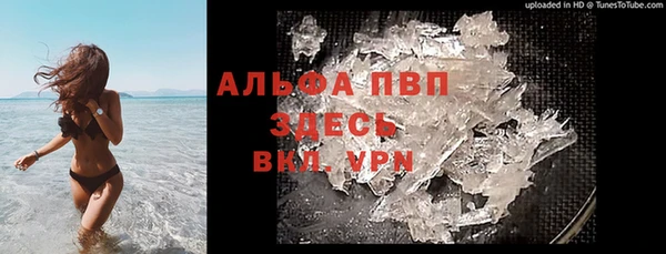 PSILOCYBIN Бугульма